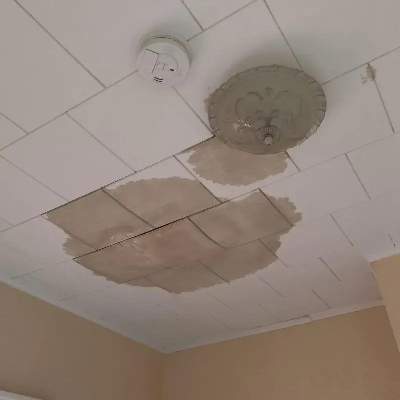Ceiling Water Damage Repair in Cool, CA