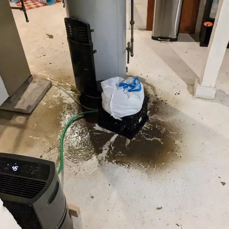 Sewage Backup Cleanup Service in Cool, CA